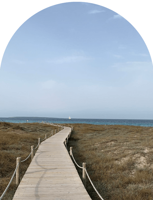 Image module