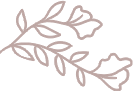 delimiter image